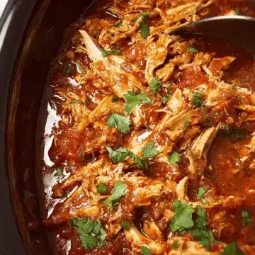 Crock Pot Salsa Chicken