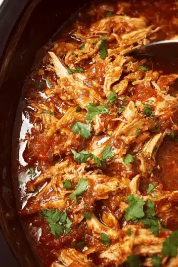 Crock Pot Salsa Chicken