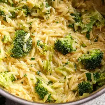 Broccoli Cheddar Orzo