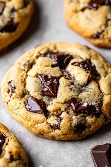 The Best Chocolate Chip Cookie Recipe Ever