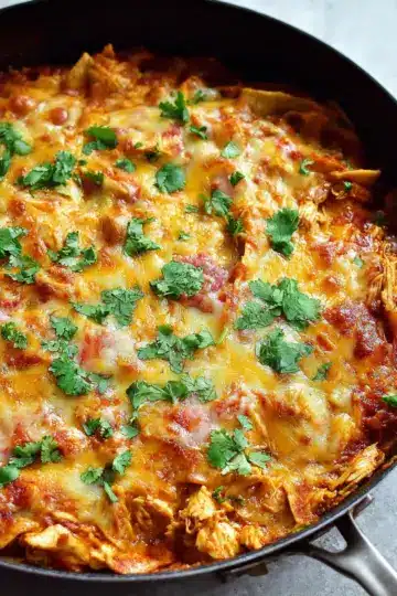 Chicken Enchilada Skillet