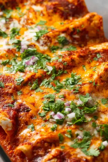 Chicken Enchiladas