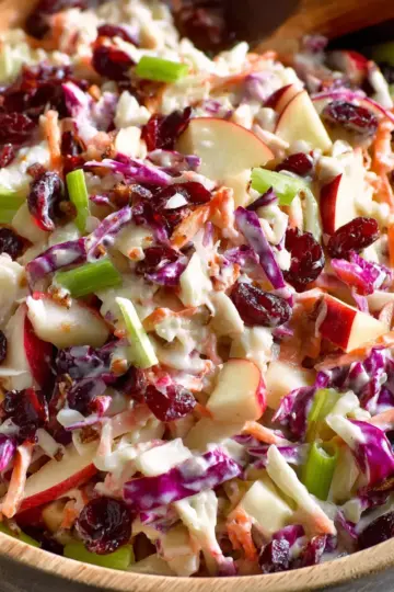 Apple Cranberry Coleslaw